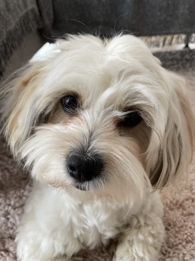 Charlie